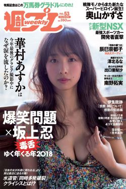 灰太狼2